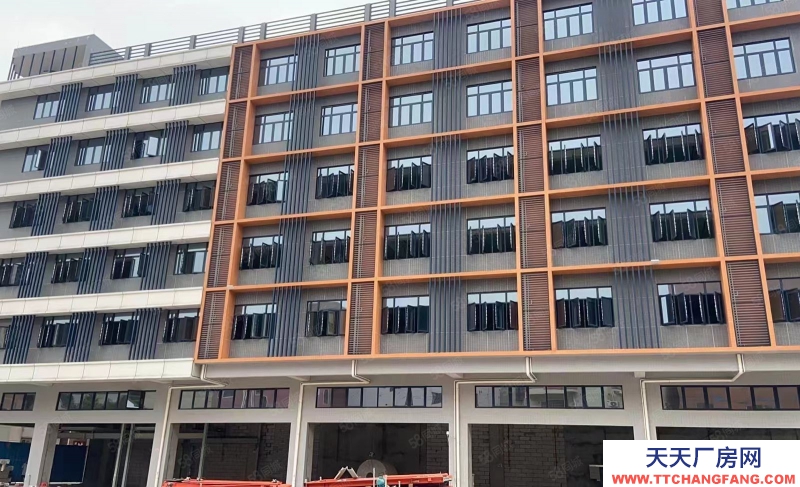 (出租) 佛山南海開(kāi)發(fā)商直租全新獨(dú)棟倉(cāng)庫(kù)出租配2臺(tái)大型貨梯可進(jìn)大型拖掛證照齊全