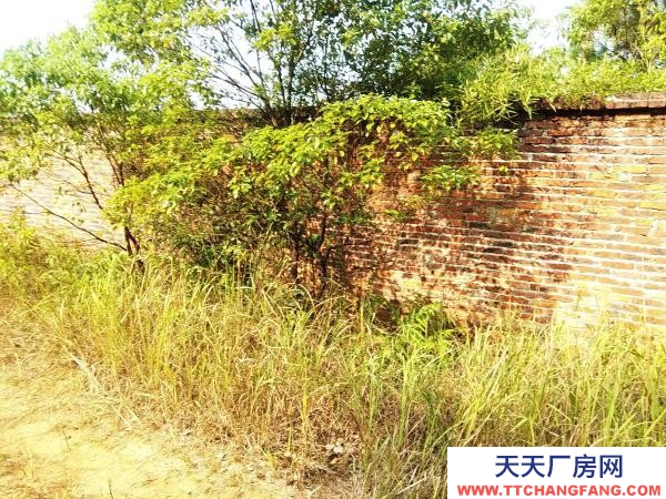 株洲市醴陵市可進掛車7900平帶水電水泥路廠房出售或出租