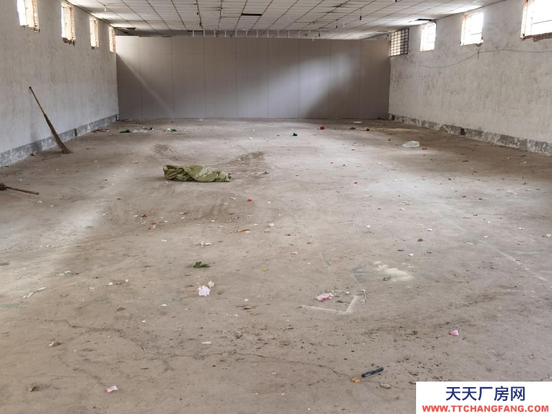 (出租) 安慶大觀區陰涼防潮，框架型260平方倉庫