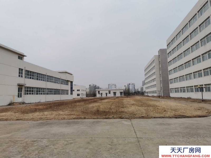 萊州經開區 高標準 工業廠房 免租 可分割