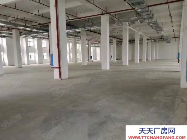 益陽市赫山區出租潔麗洗滌中心標準全新廠房倉庫