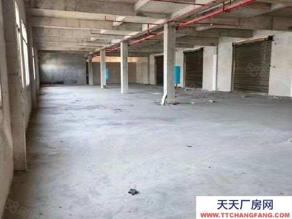 益陽市赫山區出租潔麗洗滌中心標準全新廠房倉庫