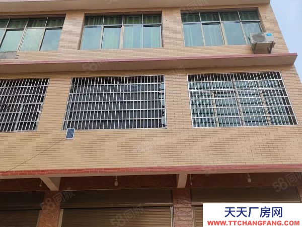 益陽(yáng)市赫山區(qū)緊鄰G319道路交通便利房東自建標(biāo)準(zhǔn)廠房倉(cāng)庫(kù)優(yōu)價(jià)出租