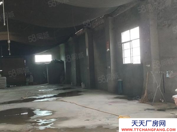 益陽(yáng)市赫山區(qū)緊鄰G319道路交通便利房東自建標(biāo)準(zhǔn)廠房倉(cāng)庫(kù)優(yōu)價(jià)出租