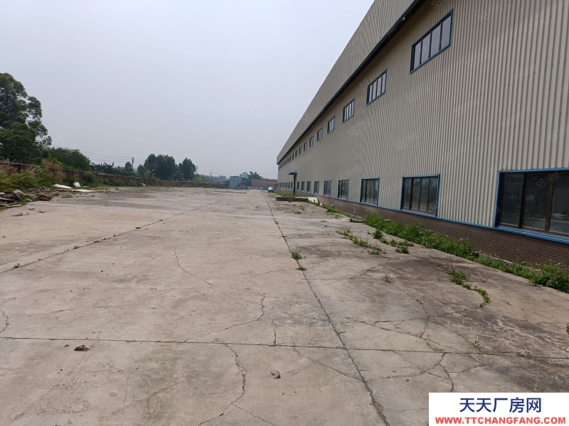 (出租) 佛山順德杏壇倉庫出租7000平方，空地大，紅本廠房倉庫，高速出口旁。