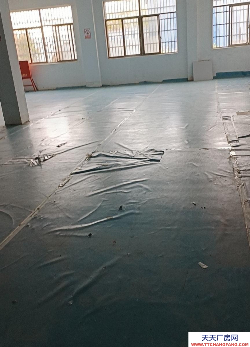 (出租) 安慶懷寧一樓三列，整體出租，水電通