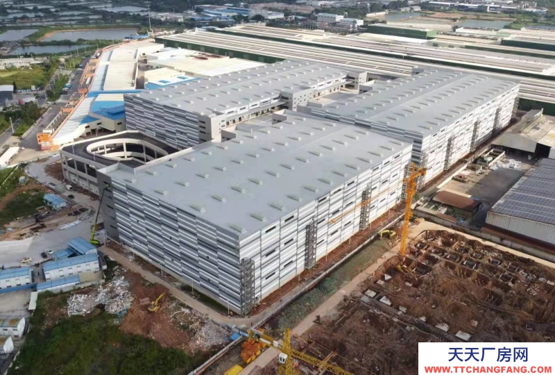 (出租) 佛山三水樂平有全新丙二類，高臺倉庫出租，帶噴淋，15萬可分租