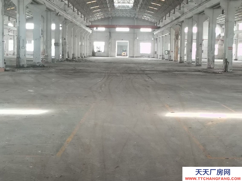 (出租) 高明三和路倉(cāng)庫(kù)出租,單層,多層都有空地大,方便進(jìn)出貨車(chē)