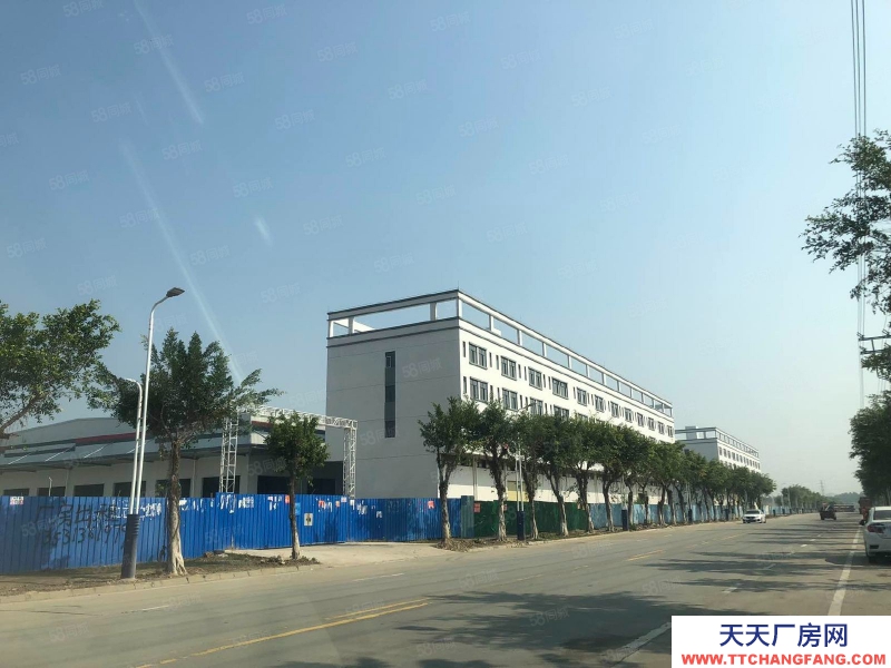 (出租) 佛山高明全新四面高臺物流倉,共8萬方,大小可分租,離碼頭5公里