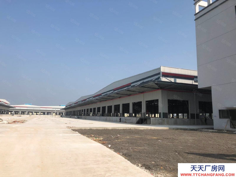 (出租) 佛山高明全新四面高臺物流倉,共8萬方,大小可分租,離碼頭5公里