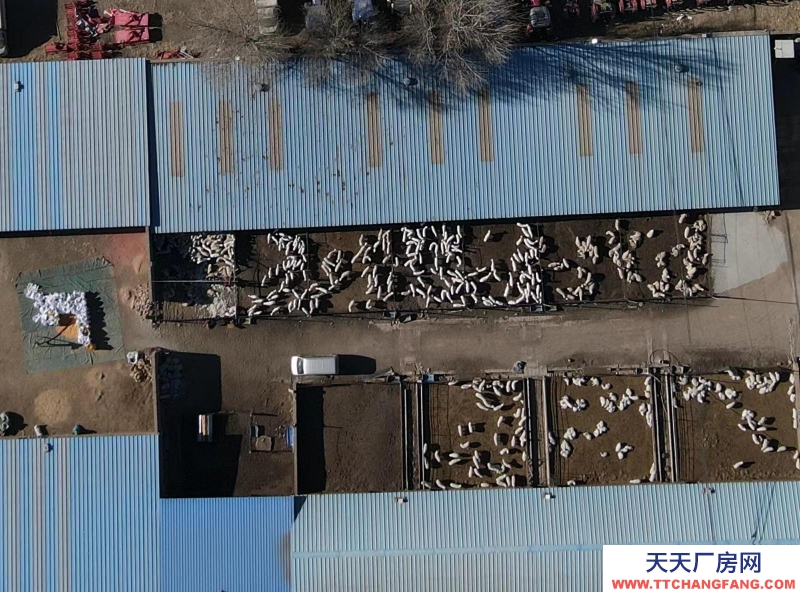 (出租) 場地出租 現(xiàn)有龍泉鎮(zhèn)東關村洋墩河東公路南側