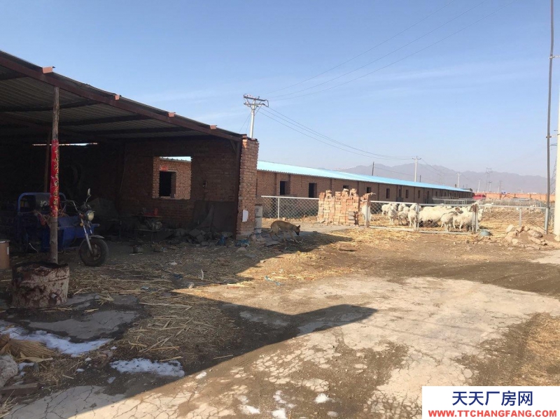 (出售) 面積大可廠房可倉庫可養殖