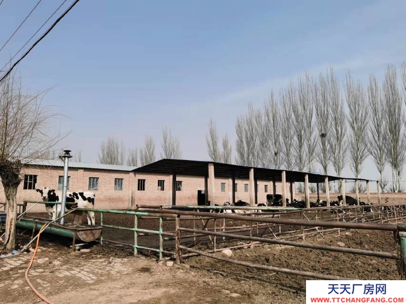 (出售) 大紅本，水電齊全，住房，糧庫，牛舍，晾場，草場，糞場齊全