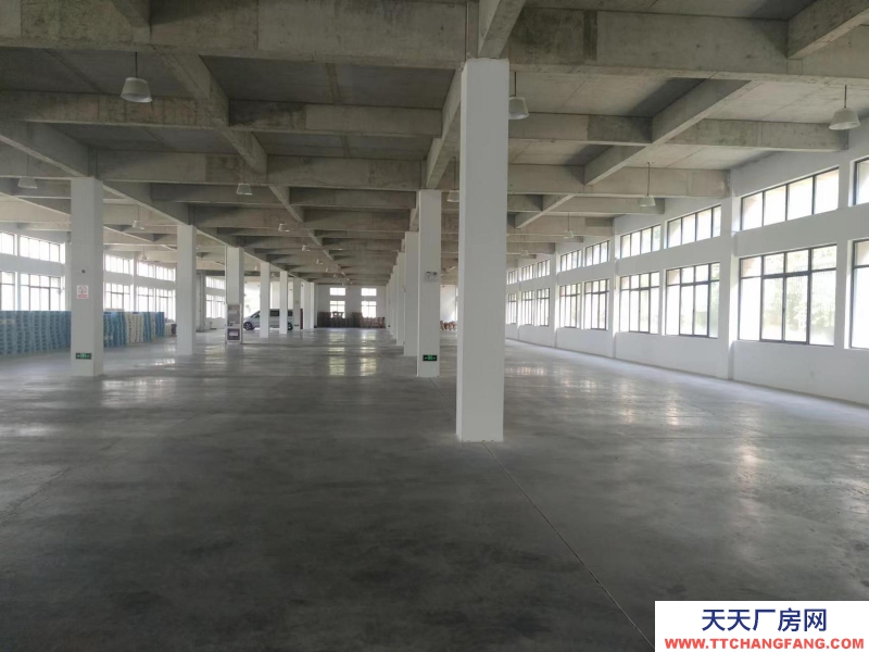 (出租) 安慶桐城6000平廠房分割出租 能進大車 適合倉 儲輕工業