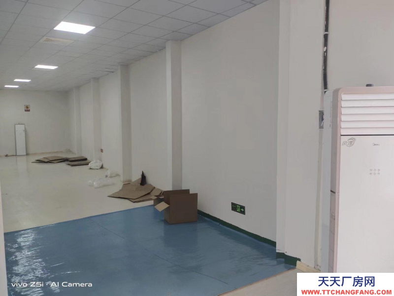 (出租) 安慶懷寧高河鎮騎龍工業園廠房