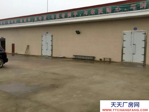 益陽市沅江市自建廠房，房東直租無中介費(fèi)用