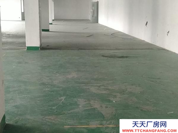 蘇州市虎丘區(qū)場地大 停車方便 進出方便 可以分租