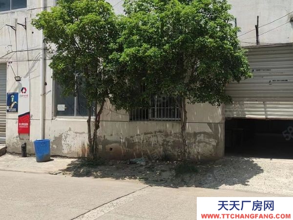蘇州市金閶區(qū)白洋灣街道一樓360平可以做倉庫，一手房東隨時可以看房
