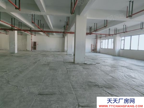 蘇州市金閶區標準廠房6500平,共5層,可分租,加工,研發,產業園