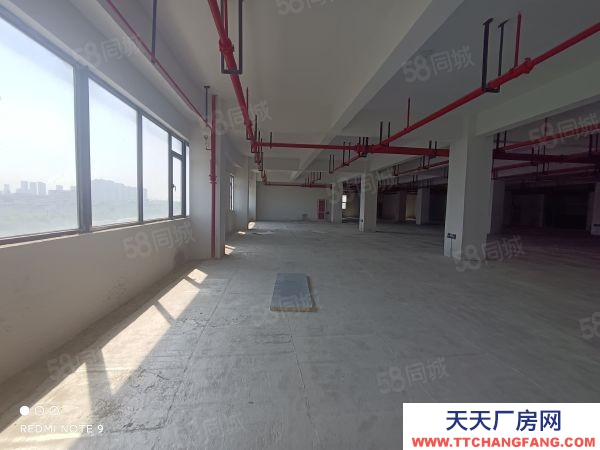 蘇州市金閶新城1293平樓上全新廠房 可電商倉儲展廳 客梯貨梯均有