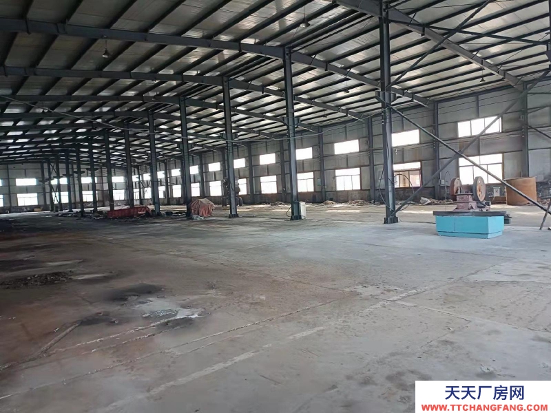 招遠206國道旁，緊鄰高速收費站。