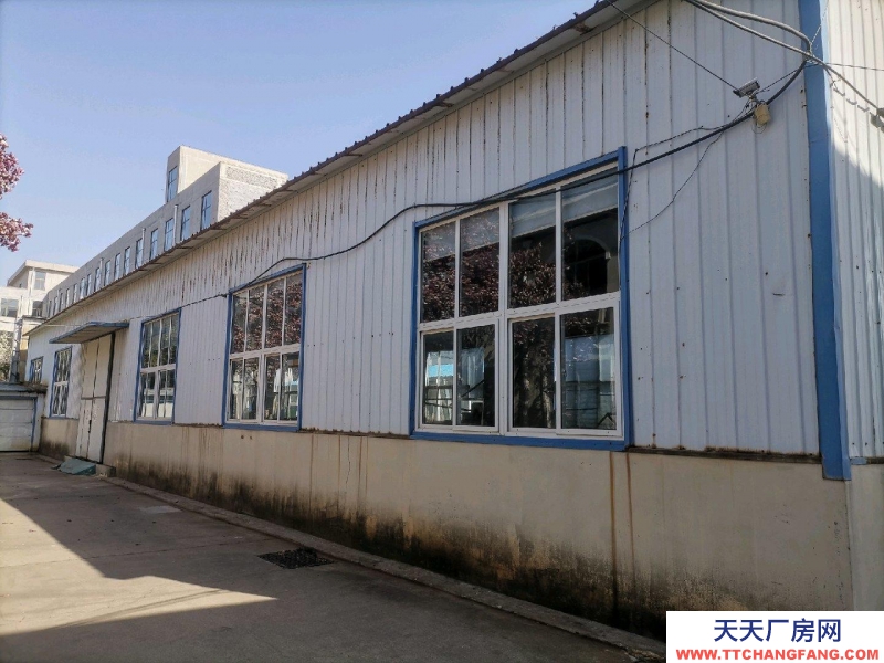 招遠髙庫5米多有兩個大門，水泥地面