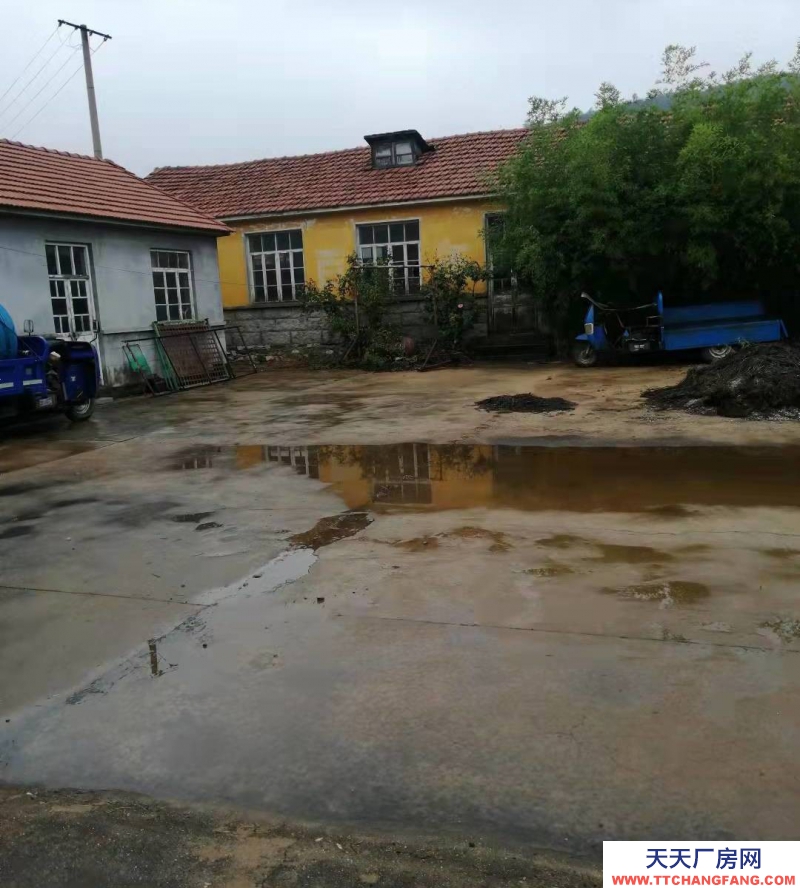 棲霞廠房出租或出售，有意者請(qǐng)電話聯(lián)系，價(jià)格面議