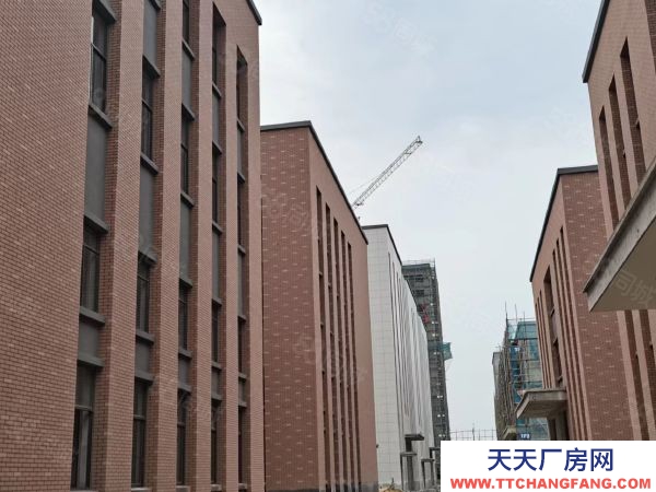 蘇州市金閶區 三層獨棟現房廠房出售