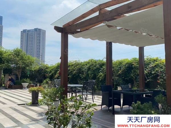 蘇州平江區全新高標準廠房均價480二成政企合作無中介費