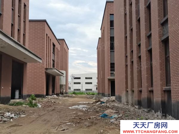 蘇州市平江區開發商新建廠房現房招商