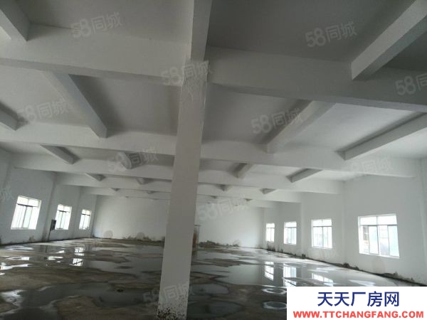 蘇州市平江區望亭新出700平倉庫層高5.5米平頂大車好進出價位美麗