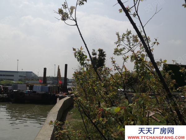 蘇州市滄浪區國土雙證!1000~6000平米!花園式廠房!