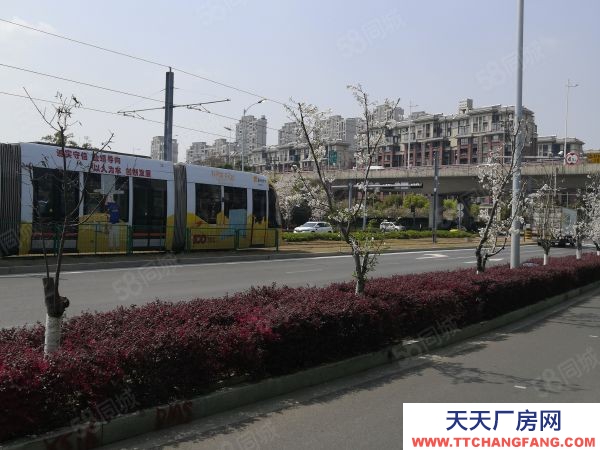 蘇州市滄浪區國土雙證!1000~6000平米!花園式廠房!