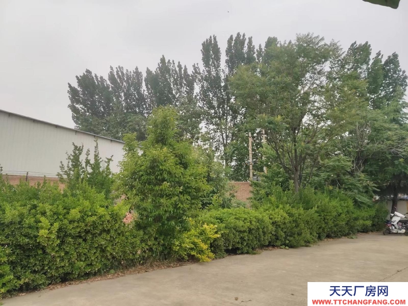 (出售) 屋,占地五畝,水電齊全!