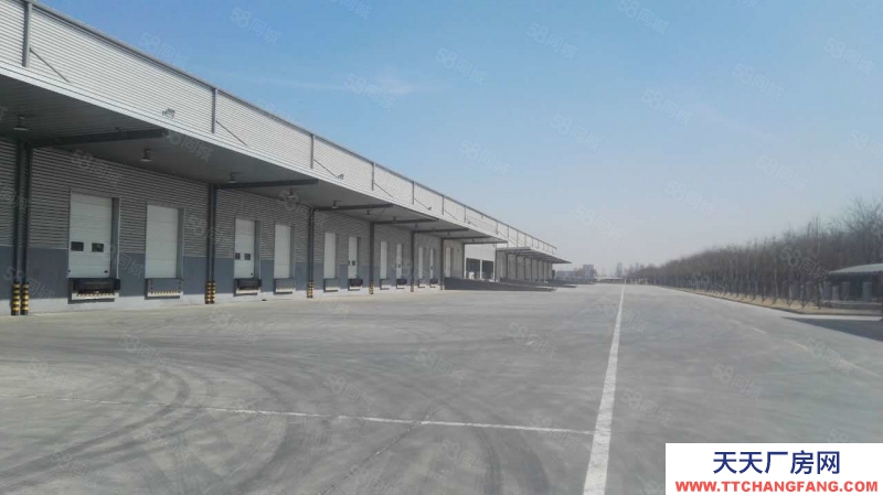 (出租) 天津西青開發區產業園標準丙二類高臺倉庫出租，可分租