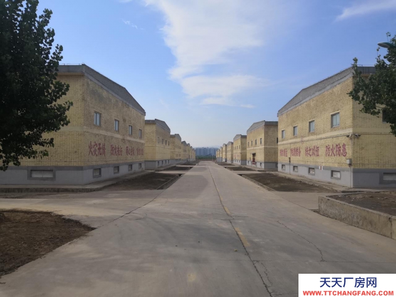 (出租) 大型倉庫出租，價格面議，可代收、代管、代發(fā)，整租、分租均可