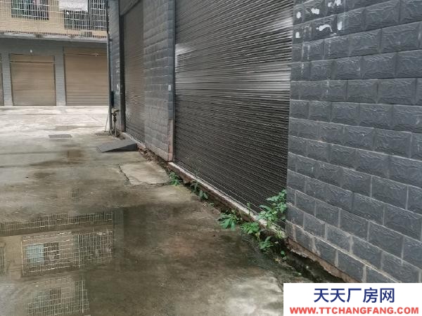 益陽市資陽區楊樹安置小區倉庫出租，停車方便，通風舒適，敞亮。