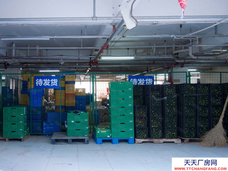 (出租) 天津津南商業便民小平米倉庫,可存閑置可做電商