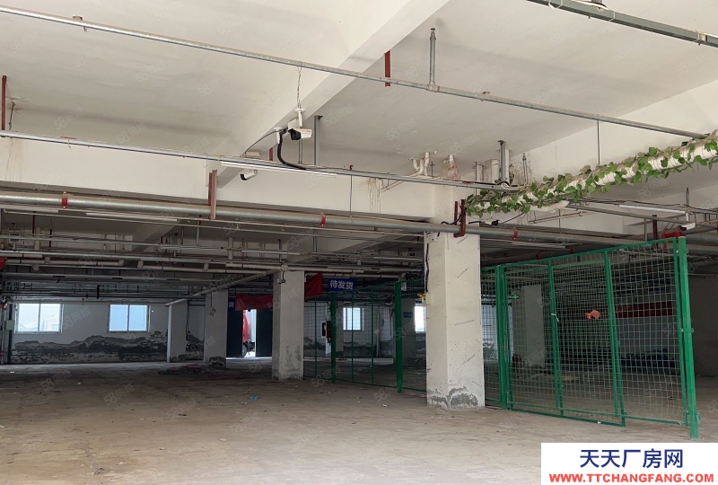 (出租) 天津津南商業便民小平米倉庫,可存閑置可做電商