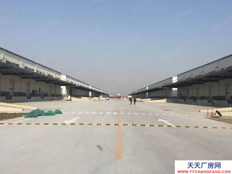 (出租) 天津津南區(qū)標準丙二類高臺倉庫出租，可分租