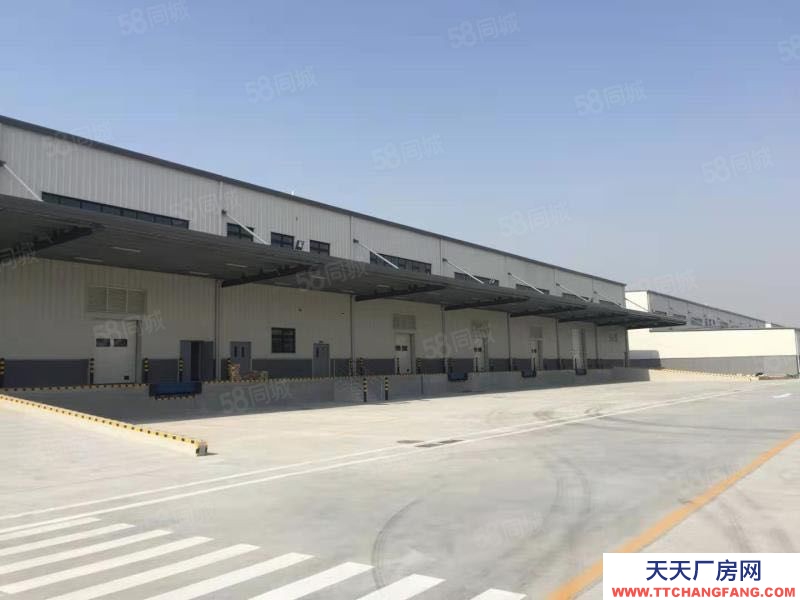 (出租) 天津津南區標準丙二類高臺倉庫出租,可分租