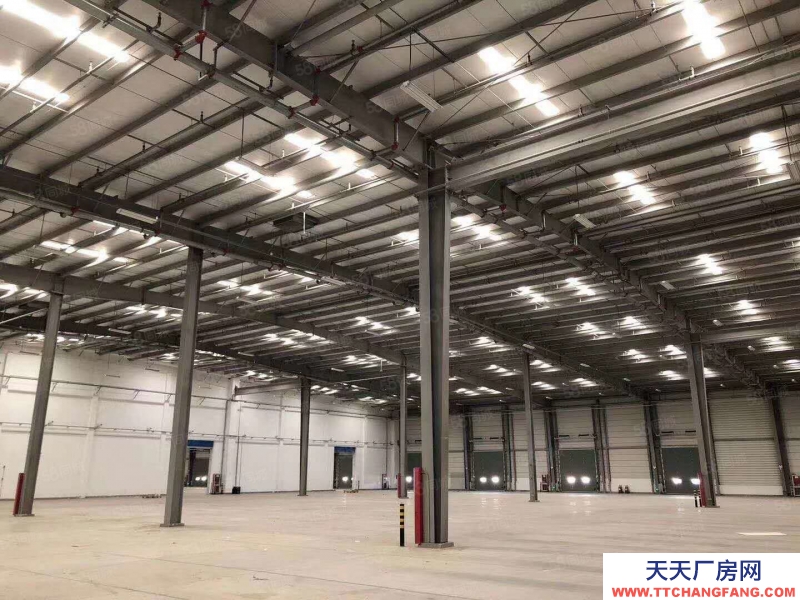 (出租) 天津津南區標準丙二類高臺倉庫出租,可分租