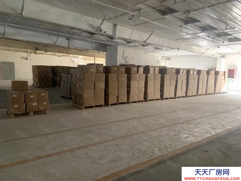 (出租) 天津津南快遞2.4無須單量歡迎電商入住