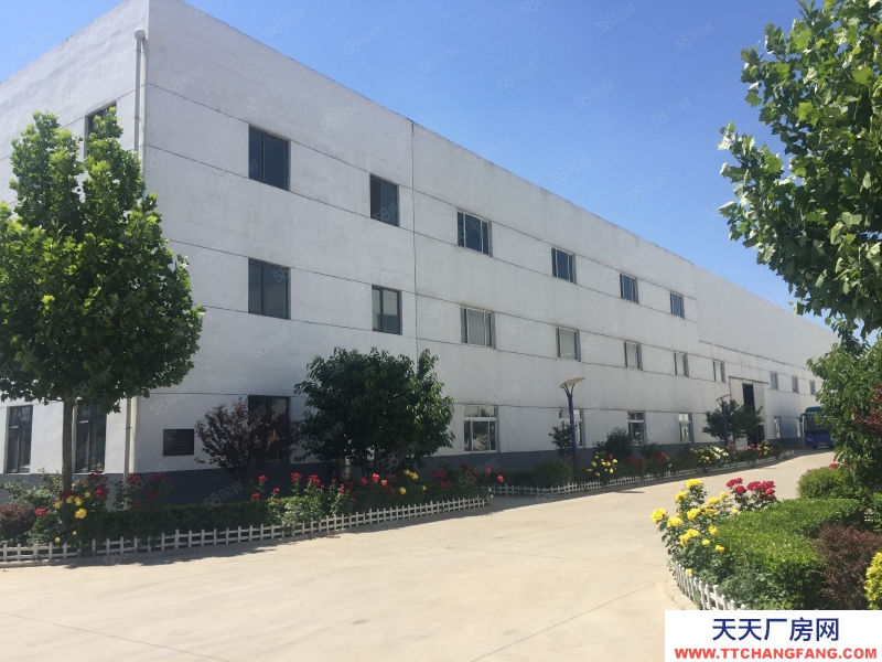 (出租)天津津南咸水沽4838平獨院廠房(開票價)