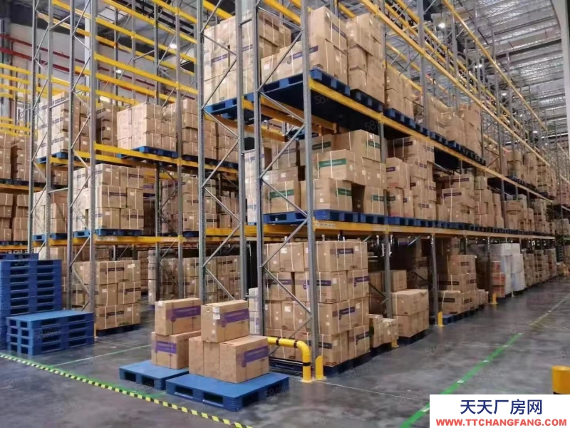 (出租) 天津東麗專業倉儲 100起租 可代發快遞物流