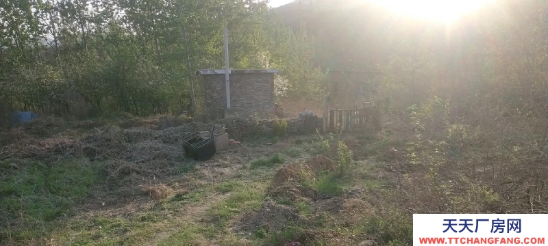 (出租) 以前養羊廠地，100平左右，地方寬闊，水電都有，交通便利。