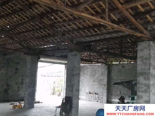 (出租) (天中)交通便利！武陵區明月村房東自建標準廠房倉庫直接出租