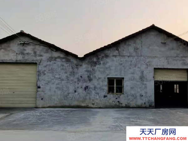 (出租) (天中)交通便利!武陵區明月村房東自建標準廠房倉庫直接出租