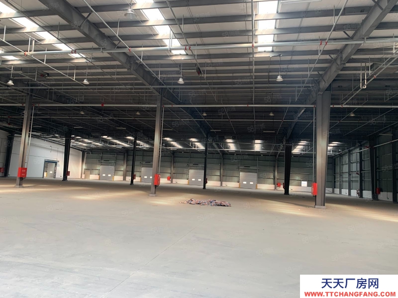 (出租) 天津?qū)氎娓邩?biāo)庫丨丙二消防丨緊鄰高速口丨價(jià)格優(yōu)惠