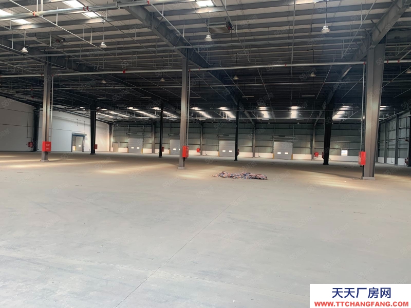 (出租) 天津?qū)氎娓邩?biāo)庫丨丙二消防丨緊鄰高速口丨價(jià)格優(yōu)惠